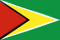 가이아나 국기 이미지